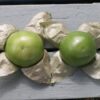 200 GRANDE Rio VERDE TOMATILLO Green Physalis Ixoxcarpa Vegetable Seeds