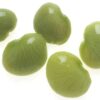 50 BABY LIMA BEAN Phaseolus Lunatus Vegetable Seeds