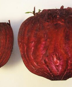 Alternative view of 250 DETROIT Dark RED BEET Heirloom Beta Vulgaris Vegetable Seeds