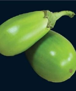 25 APPLEGREEN EGGPLANT Green Fruit / Vegetable Solanum Melongena Seeds