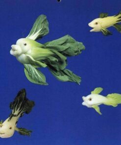 Alternative view of 800 EMERALD CATALOGNA ENDIVE Italian Chicory Cichorium Endivia Seeds