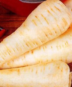 Alternative view of 1000 PARSNIP Improved HOLLOW CROWN Pastinaca Sativa White Root Vegetable Seeds