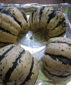 Alternative view of 25 SWEET DUMPLING SQUASH Orange Winter Delicata Cucurbita Maxima Vegetable Seeds *Flat S/H