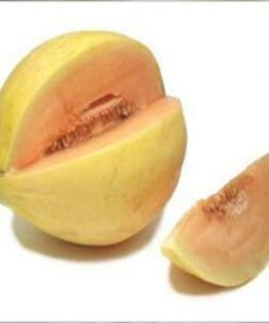Alternative view of 30 CRENSHAW MELON ( Muskmelon / Winter Melon / Cranshaw ) Cucumis Melo Fruit Seeds