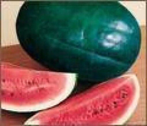 50 FLORIDA GIANT WATERMELON Cannon Ball Black Diamond Citrullus Fruit Seeds