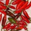 200 Hot SERRANO TAMPIQUENO PEPPER Mexican Chile Capsicum Annuum Vegetable Seeds