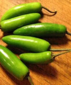 Alternative view of 200 Hot SERRANO TAMPIQUENO PEPPER Mexican Chile Capsicum Annuum Vegetable Seeds