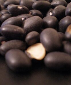 Alternative view of 50 BLACK BEAN (Black Turtle Bush Bean) Phaseolus Vulgaris Vegetable Seeds