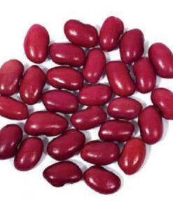 30 Red KIDNEY BEAN Phaseolus Vulgaris Vegetable Seeds