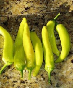 Alternative view of 300 HUNGARIAN HOT Wax PEPPER (Hot Banana Pepper) Capsicum Annuum Vegetable Seeds