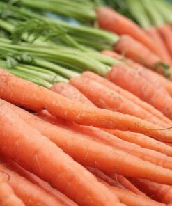 Alternative view of 1500 SCARLET NANTES CARROT Daucus Carota Vegetable Seeds