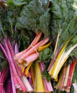 Alternative view of 150 MIXED Colors Northern Lights SWISS CHARD (Perpetual Spinach) Beta Vulgaris Cicla Vegetable Seeds