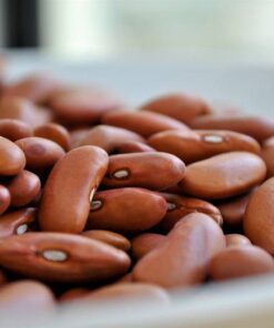 Alternative view of 50 Organic SMALL RED BEAN Phaseolus Vulgaris Vegetable Seeds *Combined Shipping!