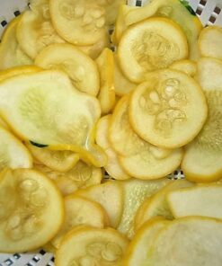 Alternative view of 50 Early PROLIFIC STRAIGHTNECK SQUASH Yellow Summer Bush Heirloom Seeds