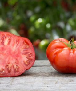 Alternative view of 200 PINK PONDEROSA TOMATO Henderson's Lycopersicon Fruit Vegetable Seeds