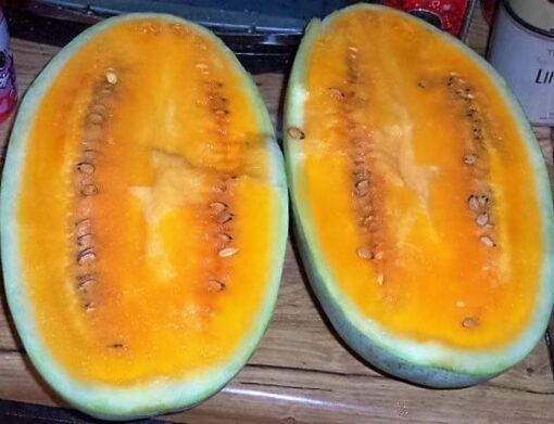 50 TENDERSWEET ORANGE WATERMELON Orange Flesh Citrullus Lanatus Fruit Melon Seeds