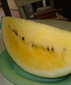 Alternative view of 50 Yellow Flesh YELLOW CRIMSON WATERMELON Melon Fruit Vine Seeds