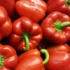 150 BIG RED Bell PEPPER Sweet Capsicum Annuum Vegetable Seeds *Comb Ship