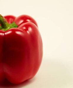 Alternative view of 150 BIG RED Bell PEPPER Sweet Capsicum Annuum Vegetable Seeds *Comb Ship