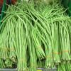 Heirloom Yard Long Bean Seeds - 30 Pack - Red Seeded Asparagus Bean - Phaseolus Vulgaris Vegetable Seeds