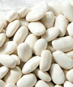 Alternative view of 30 CANNELLINI BEAN Seeds White Italian Kidney Phaseolus Vulgaris Vegetable Seeds
