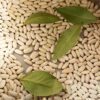 30 CANNELLINI BEAN Seeds White Italian Kidney Phaseolus Vulgaris Vegetable Seeds