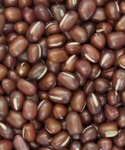 50 ADZUKI BEAN Aduki Red Bean Maroon Phaseolus Angularis Legume Vegetable Seeds