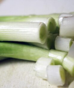 Alternative view of 300 Evergreen NEBUKA BUNCHING ONION Japanese Allium Fistulosum Vegetable Seeds