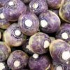 1500 American PURPLE TOP RUTABAGA Brassica Napus Root Vegetable & Greens Seeds