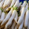 500 JAPANESE MINOWASE RADISH Huge Daikon White Raphanus Sativus Vegetable Seeds