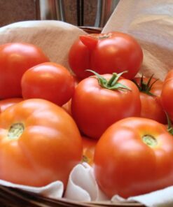 Alternative view of 200 Red RUTGERS TOMATO Lycopersicon Globe Determinate 8 oz Fruit Vegetable Seeds