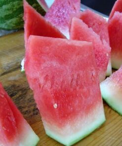 Alternative view of 50 DIXIE QUEEN WATERMELON White & Red Citrullus Lanatus Melon Fruit Vine Seeds