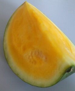 50 Yellow Flesh YELLOW CRIMSON WATERMELON Melon Fruit Vine Seeds