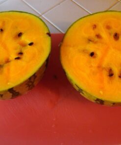 Alternative view of 50 TENDERSWEET ORANGE WATERMELON Orange Flesh Citrullus Lanatus Fruit Melon Seeds