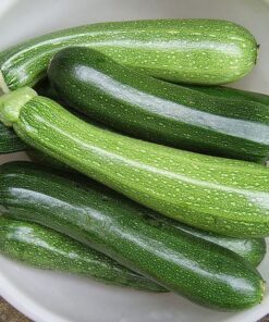 Alternative view of 30 GRAY ZUCCHINI Heirloom Summer Bush Squash Cucurbita Pepo Vegetable Seeds