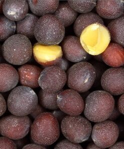 Alternative view of 3000 FLORIDA BROADLEAF MUSTARD Brassica Juncea Herb Vegetable Seeds