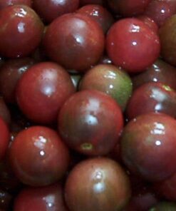 Alternative view of 50 BLACK CHERRY TOMATO Black Skin Sweet Round Lycopersicon Fruit Vegetable Seeds