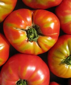 Alternative view of 50 CHOCOLATE STRIPES TOMATO Brown with Green Lycopersicon Fruit Vegetable Seeds