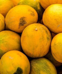 25 KOLKHOZNITSA MELON Collective Farm Woman Cucumis Melo Russian Fruit Seeds