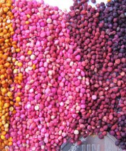 Alternative view of 100 Organic BRILLIANT RAINBOW QUINOA Mix Mixed Colors Chenopodium Grain Greens Vegetable Seeds