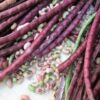 25 RED NOODLE BEAN Yard Long Asparagus Bean Chinese Phaseolus Vulgaris Legume Vegetable Seeds