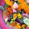 EDIBLE FLOWER MIX Seeds