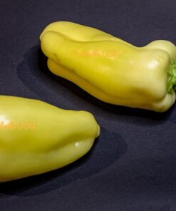 Alternative view of 25 Organic GIANT SZEGEDI PEPPER Capsicum Annuum Hungarian Sweet Paprika / Tapered Bell White Yellow Orange Red Seeds