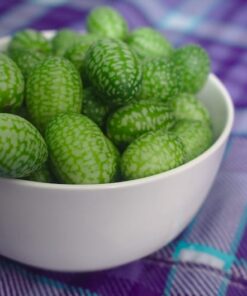 Alternative view of 10 CUCAMELON Melothria Scabra Mouse Melon Mexican Gherkin Mini Watermelon Cucumber Fruit Vine Seeds