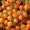 100 ORANGE CHERRY TOMATO Heirloom Solanum Lycopersicum Indeterminate Fruit Vegetable Seeds