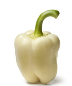 Alternative view of 50 WHITE CLOUD Bell PEPPER Sweet Mild Capsicum Annuum Vegetable Seeds
