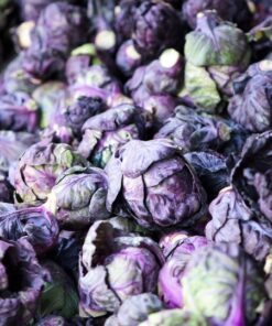 70 RED Ball BRUSSEL SPROUT Brussels Sprouts Brassica Oleracea Gemmifera Vegetable Seeds *Comb Ship