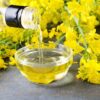 1000 ' WICHITA ' Winter CANOLA Brassica Napus Rape Oilseed Cover Crop Seeds