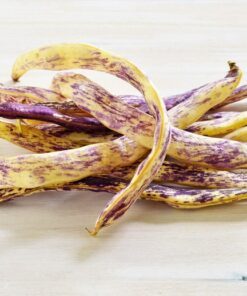 Alternative view of 50 DRAGON TONGUE Wax BEAN Yellow & Purple Dragon's Tongue Phaseolus Vulgaris Legume Vegetable Seeds