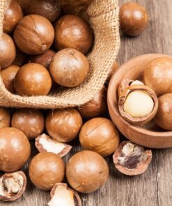 5 MACADAMIA NUT Tree Macadamia Integrifolia Brown Shell Beige Nut Fruit White & Pink Flower Seeds